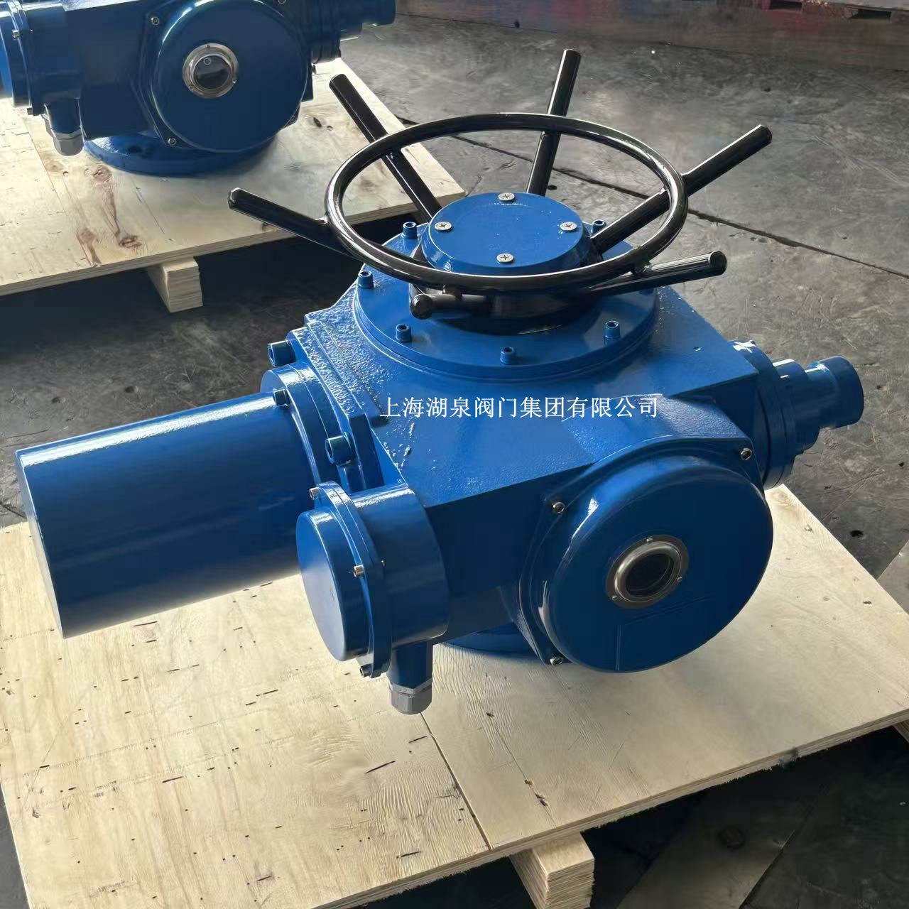 電動執(zhí)行器