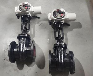 ?Z941T-10 DN150電動法蘭閘閥|灰鑄鐵銅芯明