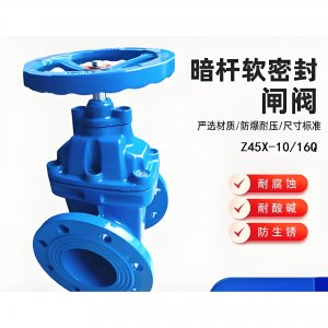 Z45X-10Q/16Q暗桿軟密封閘閥 DN65球墨鑄鐵法